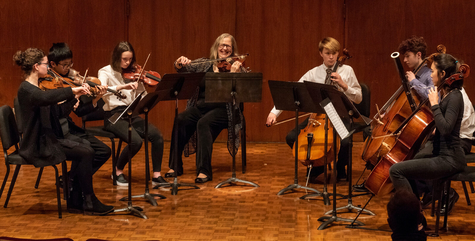 Chamber orchestra instruments cheap